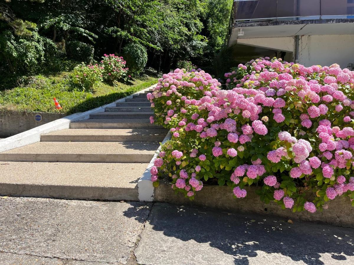 Trouville, Appartement Renove Avec Grande Terrasse Au Calme Екстер'єр фото